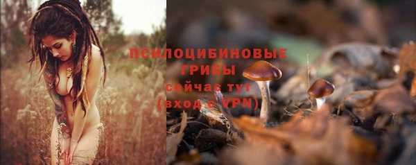 меф Армянск